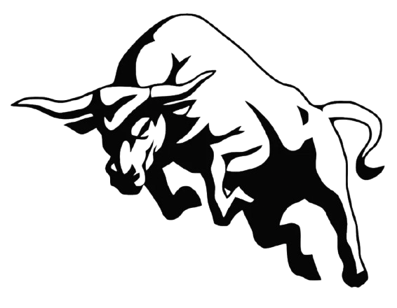 Background Bull